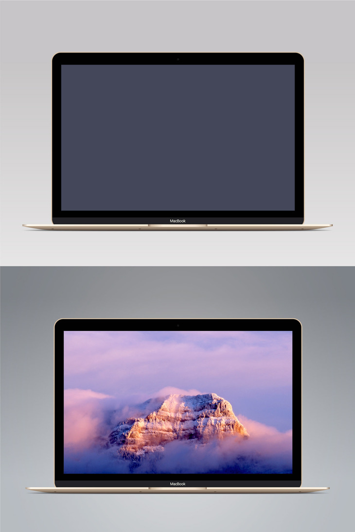 Vector MacBook Gold